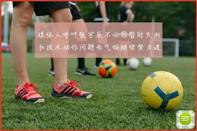 媒体人呼吁张宇辰不必因暂时失利和技术动作问题而气馁继续努力追梦